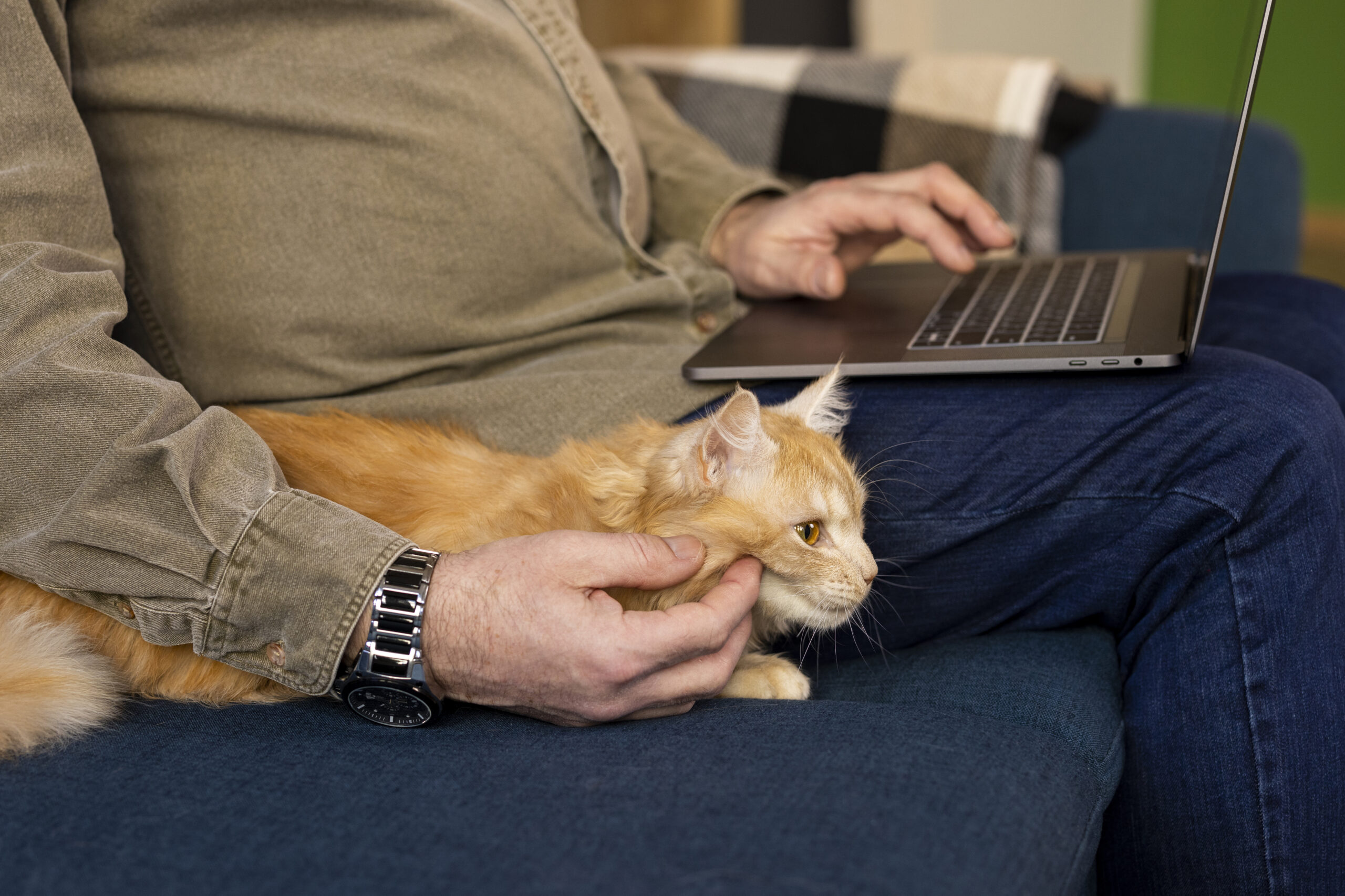 You are currently viewing Towards insuring more than one cat: How to select the right policy