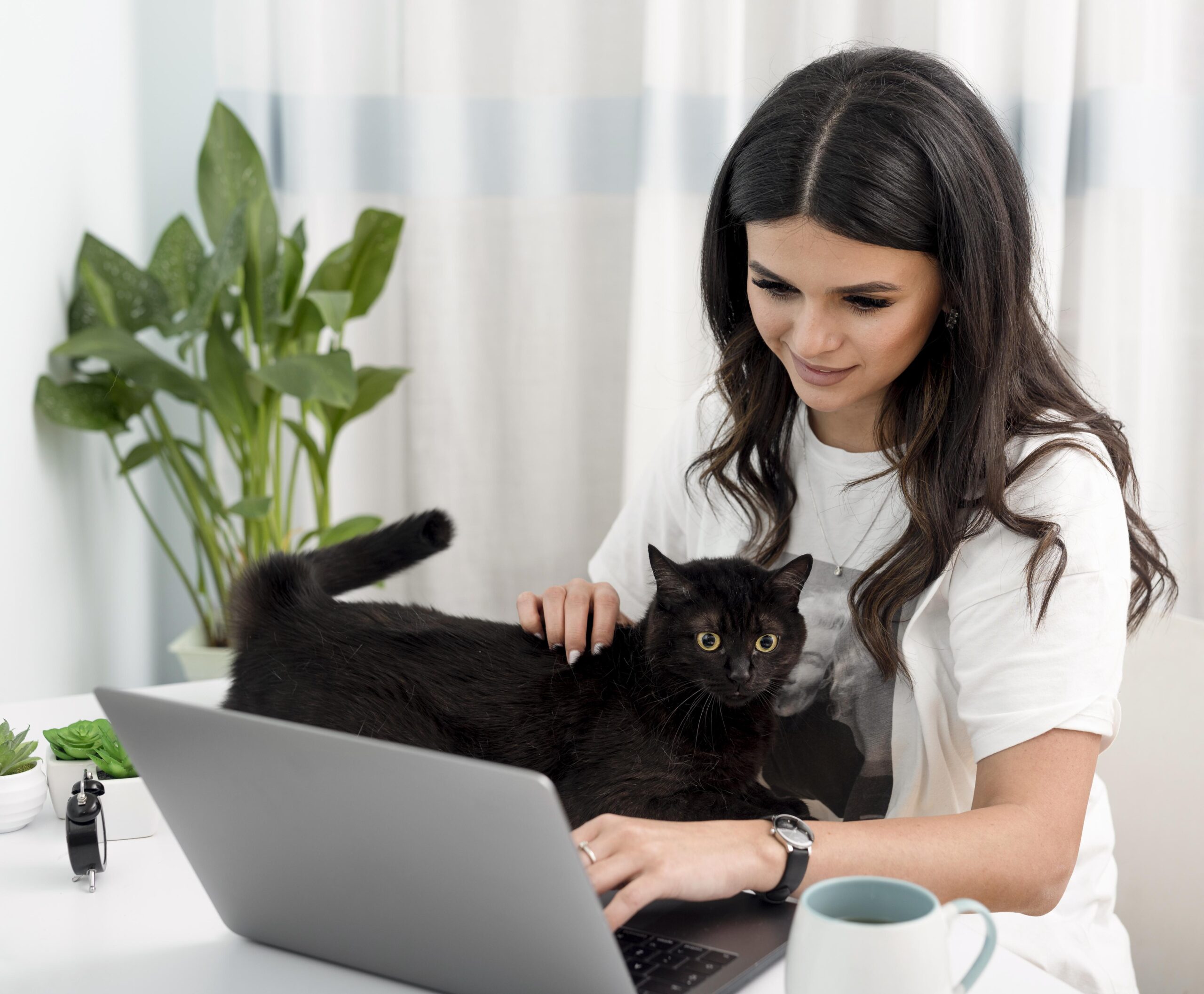 You are currently viewing Cat Insurance: The Top Benefits of Why You Must Have It