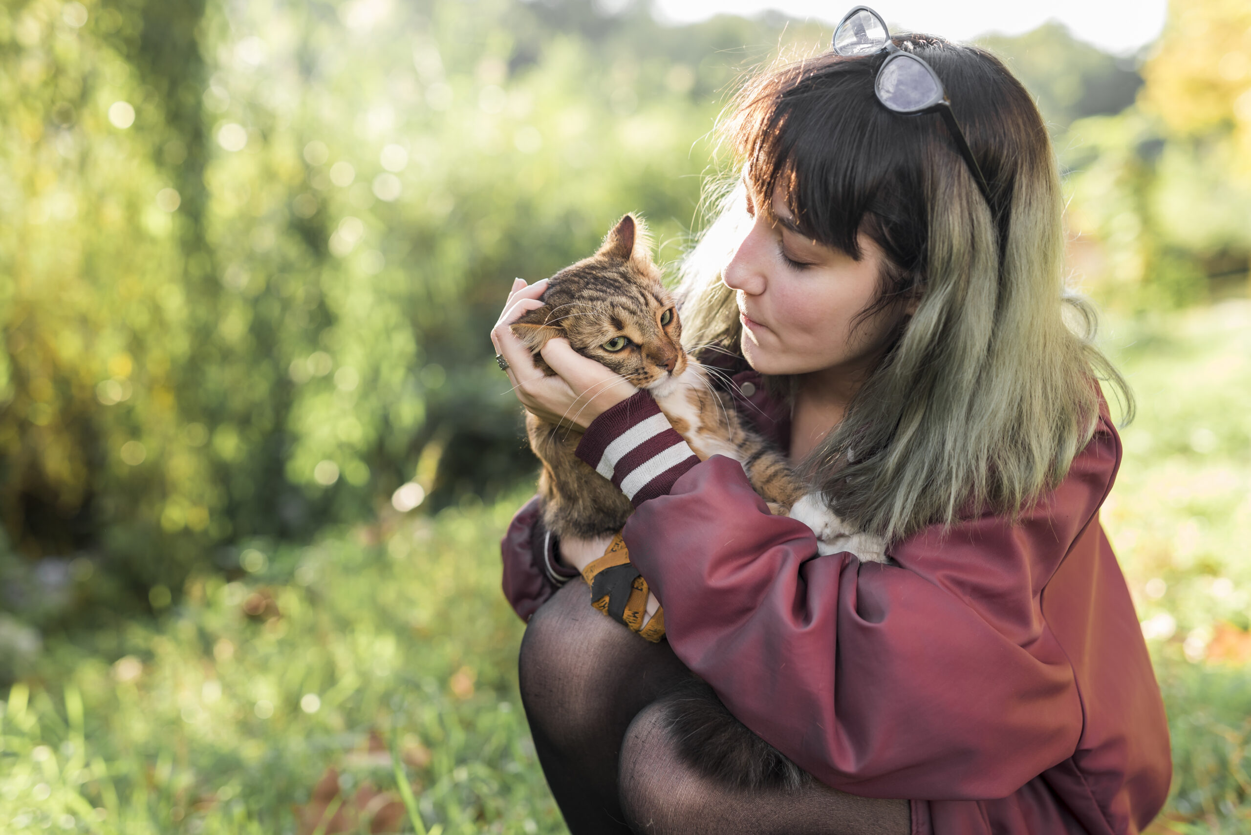 You are currently viewing How Outdoor Cats Affect Your Insurance: Risks to Keep in Mind